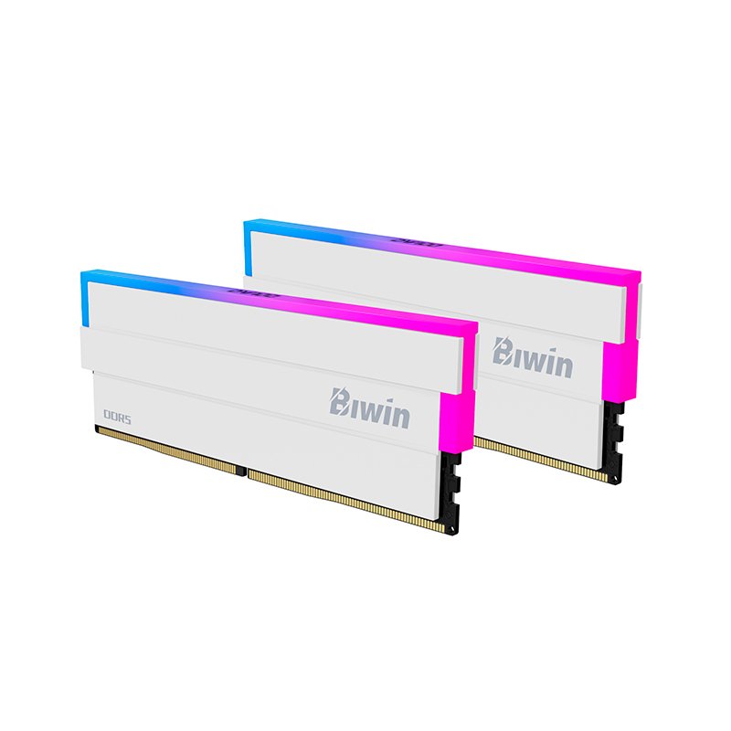 Memoria RAM Biwin MEM 32G(2X16)BW DW100 RGBW